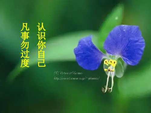 马克思主义基本原理概论 2