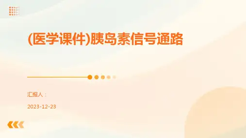 (医学课件)胰岛素信号通路