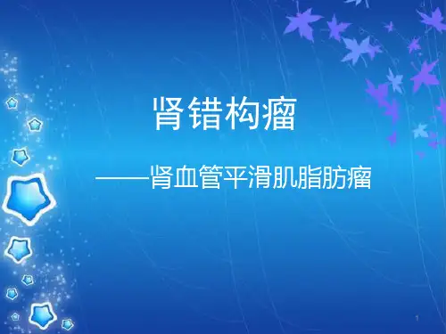 肾错构瘤幻灯片课件