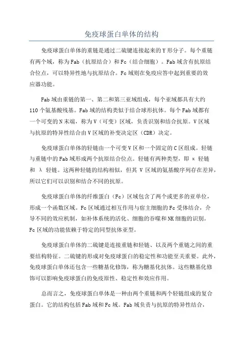 免疫球蛋白单体的结构