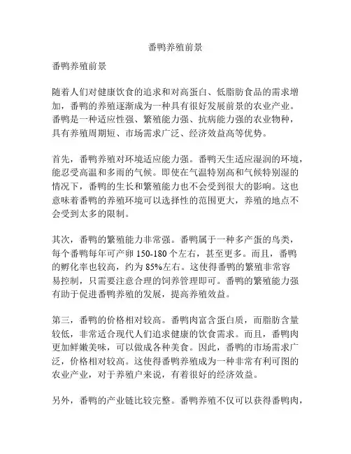 番鸭养殖前景