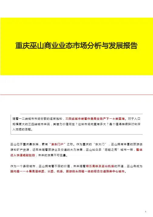 重庆市巫山县商业业态市场分析与发展报告