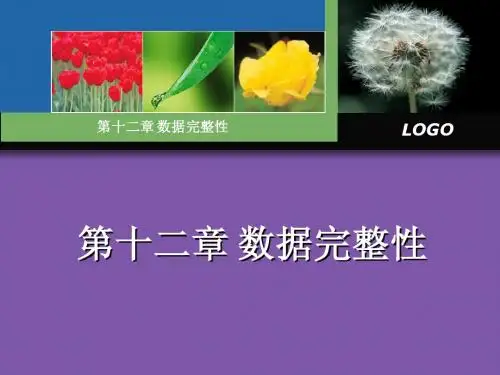 第12章 数据完整性