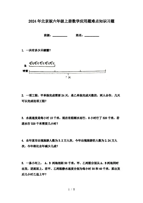 2024年北京版六年级上册数学应用题难点知识习题