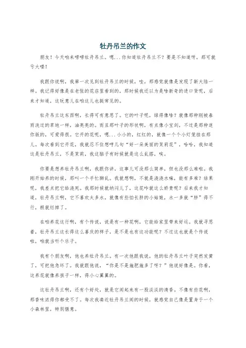 牡丹吊兰的作文