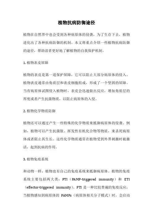 植物抗病防御途径