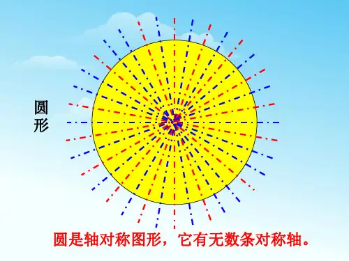轴对称作图大全ppt课件