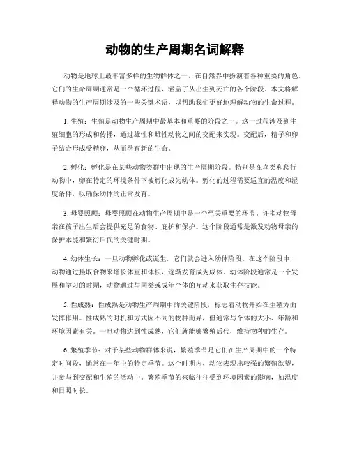 动物的生产周期名词解释
