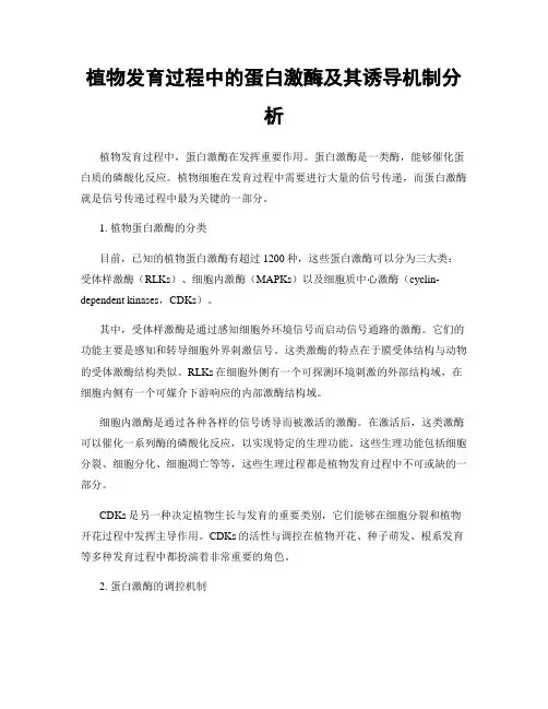 植物发育过程中的蛋白激酶及其诱导机制分析