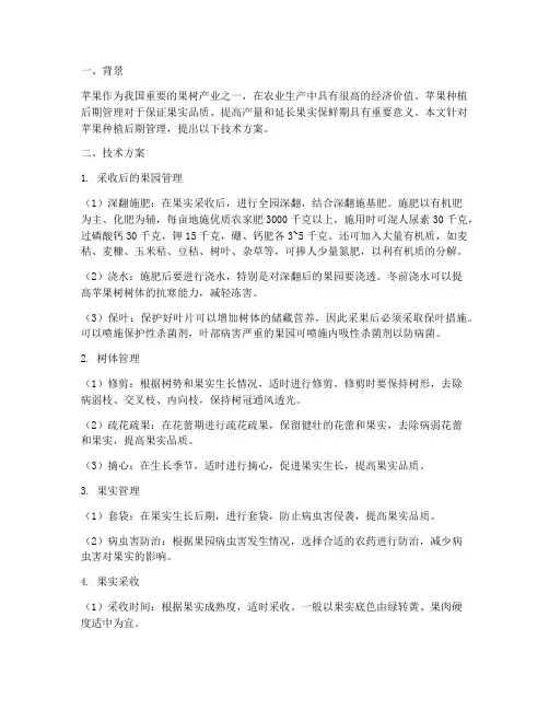 种植苹果后期管理技术方案