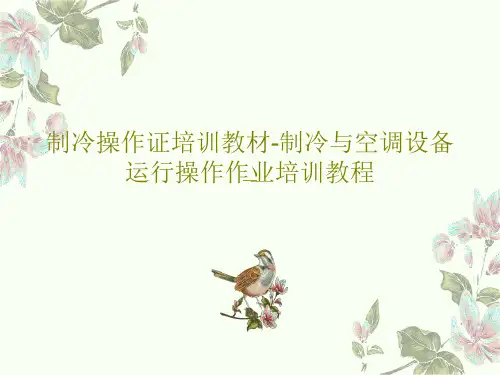 制冷操作证培训教材-制冷与空调设备运行操作作业培训教程PPT文档共108页