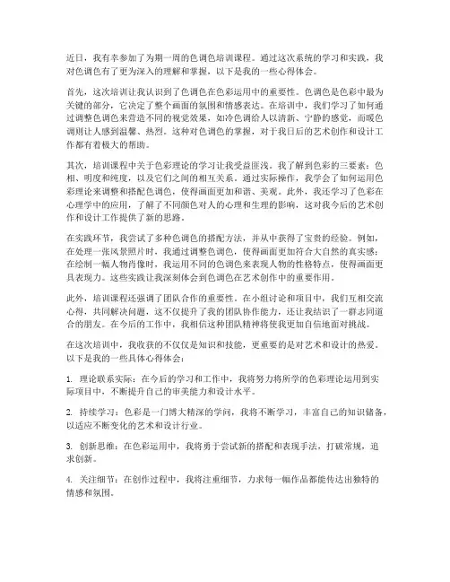 上色调色培训心得体会范文