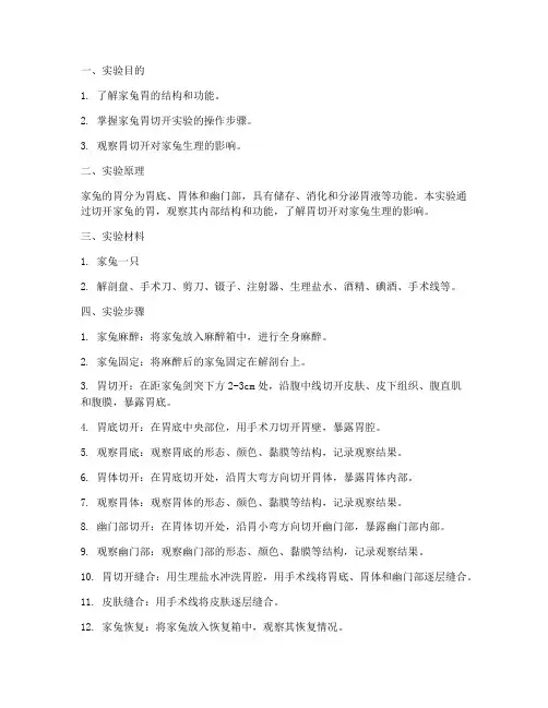 家兔胃的切开实验报告