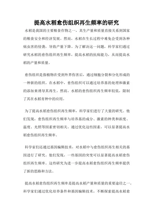 提高水稻愈伤组织再生频率的研究