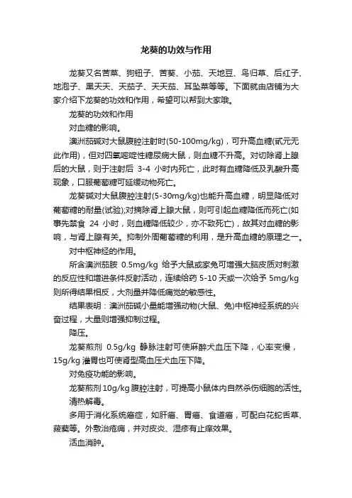 龙葵的功效与作用