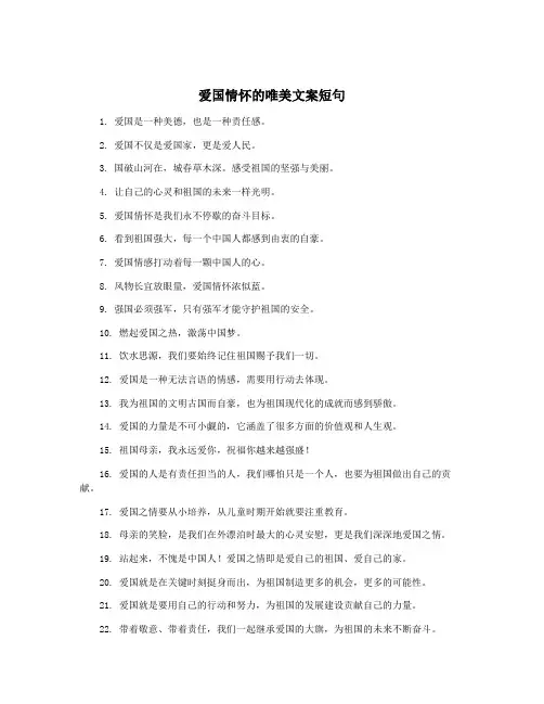 爱国情怀的唯美文案短句
