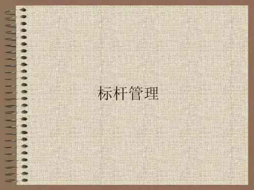 第五讲 标杆管理