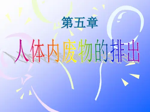 人教版七年级下册生物人体内废物的排出课件24张