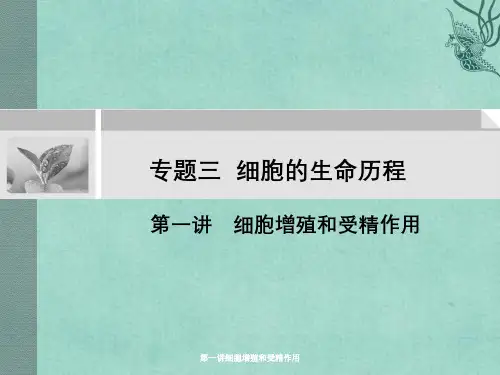 第一讲细胞增殖和受精作用