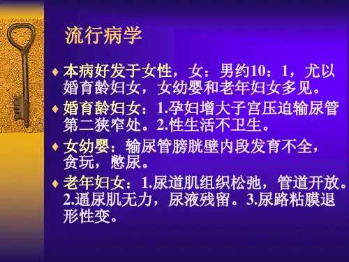 尿路感染PPT课件