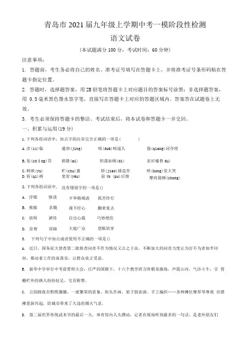 山东省青岛市2021届九年级上学期阶段性检测(中考一模)语文试题(含答案与解析).docx