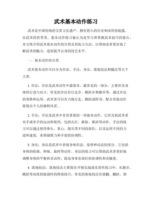 武术基本动作练习
