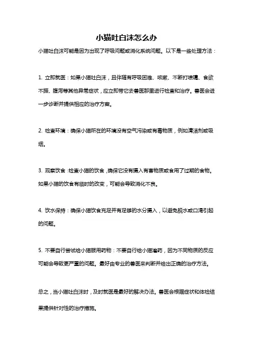 小猫吐白沫怎么办