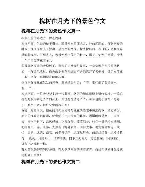 槐树在月光下的景色作文