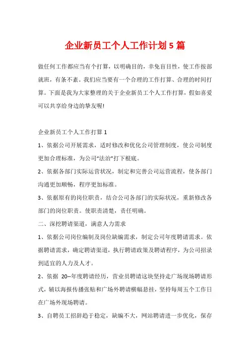 企业新员工个人工作计划5篇