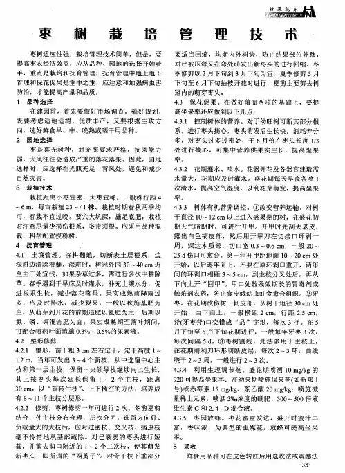 枣树栽培管理技术