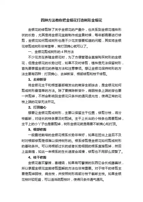 四种方法教你把金银花打造树形金银花