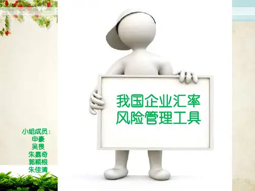 我国企业汇率及风险管理工具解析(ppt 25页)
