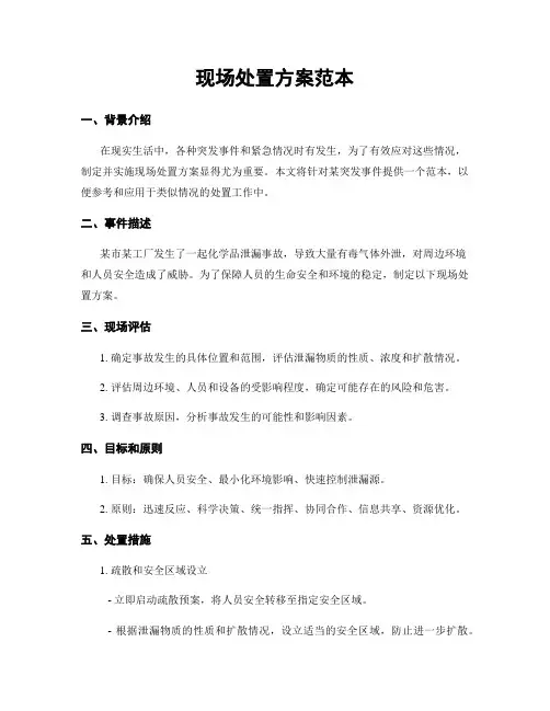 现场处置方案范本