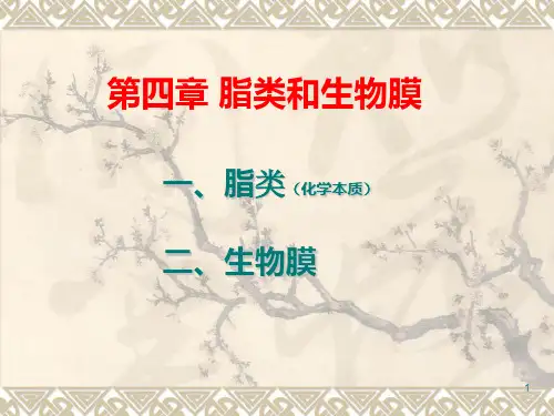 《脂类和生物膜》PPT课件