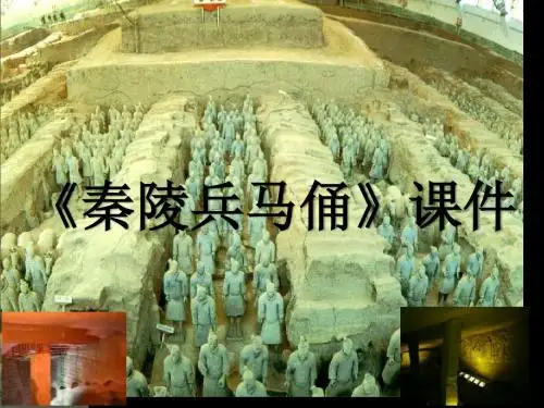 湘美版美术六年级上册 第六课《秦陵兵马俑》课件02