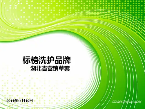 湖北营销策划案(洗护) PPT课件