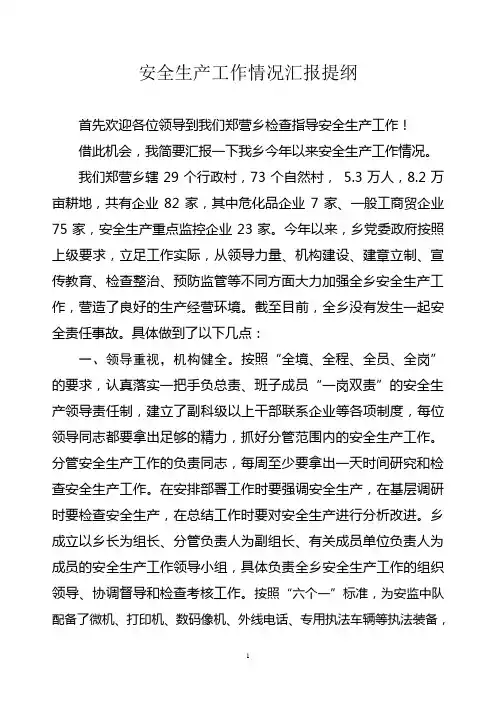 安全生产工作情况汇报提纲