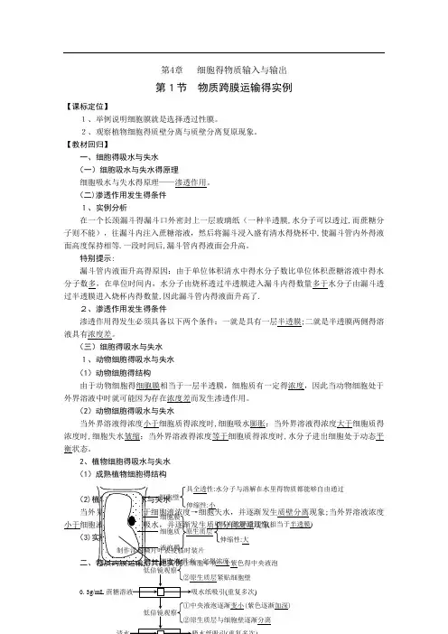 第4章  细胞的物质输入和输出(教案)