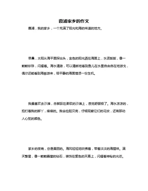 霞浦家乡的作文
