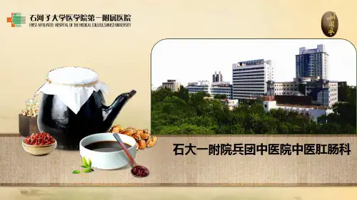中医肛肠科介绍ppt课件