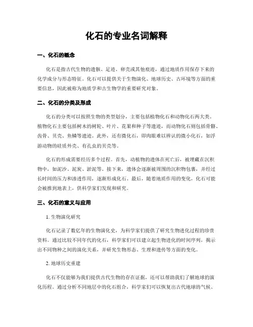 化石的专业名词解释