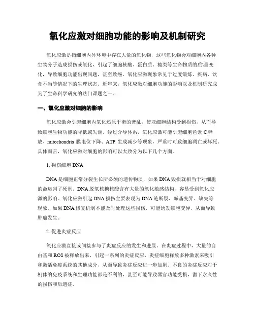 氧化应激对细胞功能的影响及机制研究