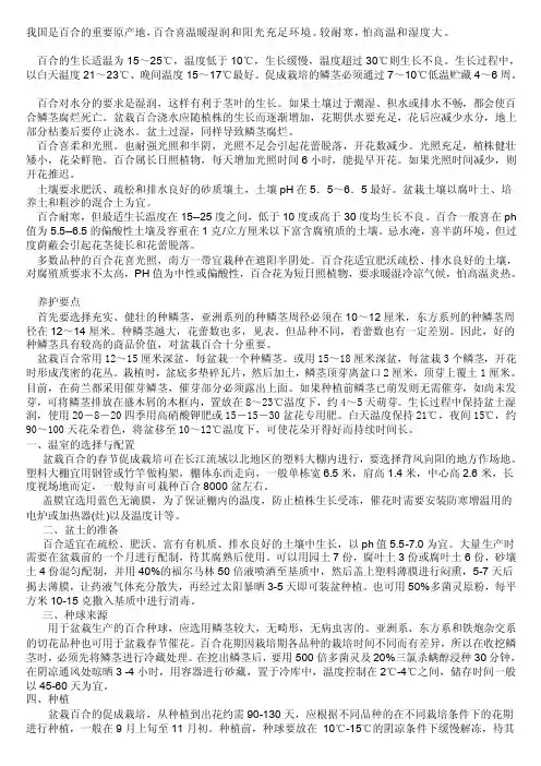 研究报告百合的栽培