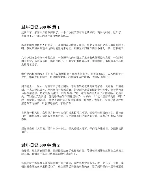 过年日记500