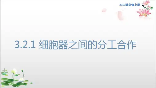 【新教材精品】细胞器之间的分工合作课件-人教版高中生物必修分子与细胞-ppt精品课件1