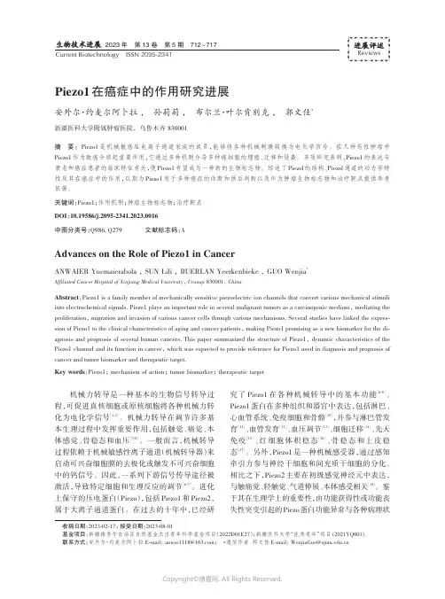Piezo1_在癌症中的作用研究进展