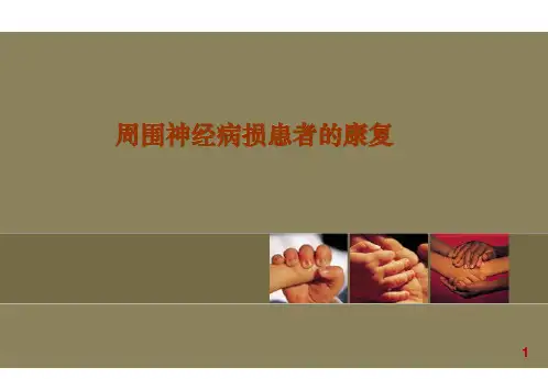 第二章 第五节 周围神经损伤的康复