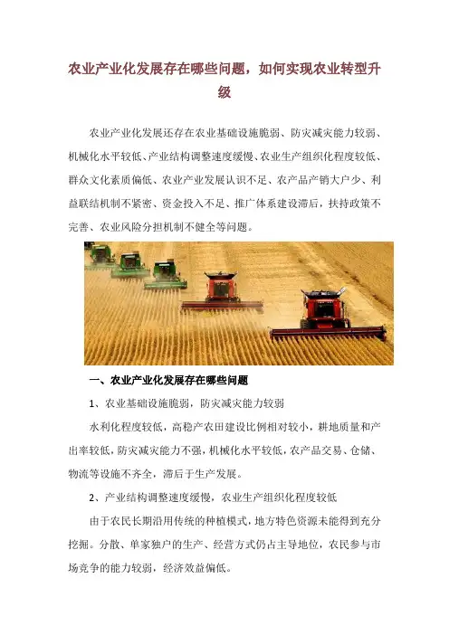 农业产业化发展存在哪些问题,如何实现农业转型升级