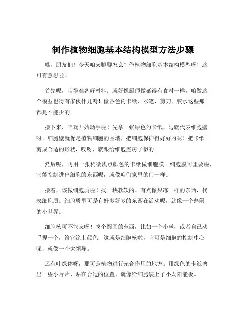 制作植物细胞基本结构模型方法步骤