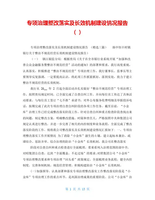 专项治理整改落实及长效机制建设情况报告()